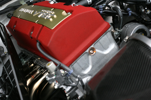 512 hedder2 IMG_7712.jpg